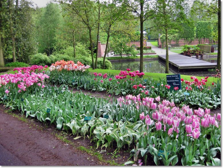 Holland (100)1.jpg